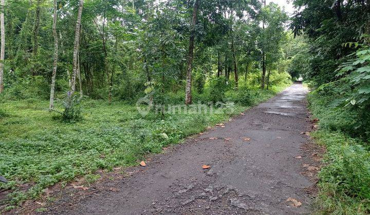 Tanah Murah Selatan Kampus Uii Jogja Jl Kaliurang 1