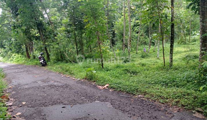 Tanah Murah Selatan Kampus Uii Jogja Jl Kaliurang 2