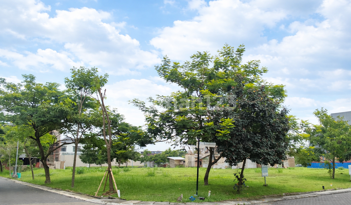 Kavling Hoek Bukit Danau Indah Pik 2 449M² Lingkungan Asri Siap Bangun Kavling Hoek Bukit Danau Indah Pik 2 449M² Lingkungan Asri Siap Bangun