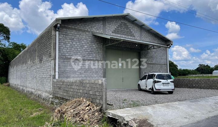 Disewakan Gudang Bangunan Baru Strategis Lokasi Diutara Terminal Jombor Disewakan Gudang Bangunan Baru Strategis Lokasi Diutara Terminal Jombor