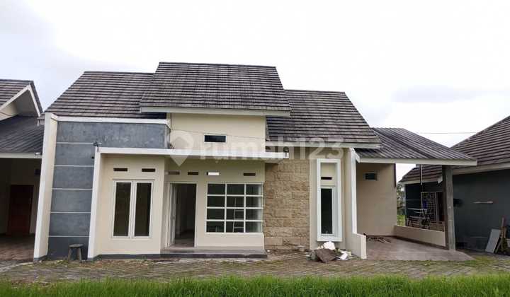 Disewakan Rumah Dalam Cluster Suasana Nyaman View Sawah Seputaran Condongcatur 1