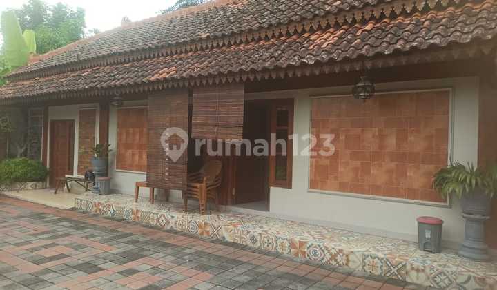 Dijual Cepat Homestay Aktif Jawa Classic Modern Full Furnish Dijual Cepat Homestay Aktif Jawa Classic Modern Full Furnish