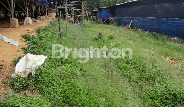 CHICKEN FARM LAND KP. CIBARENGKOK TANJUNGSARI BOGOR