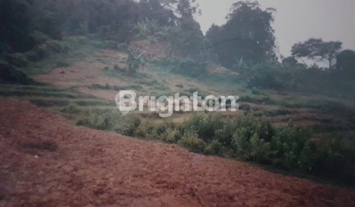 LAHAN TANAH CARIU, BOGOR TIMUR KAMPUNG KARANGSARI DESA MEKAR WANGI