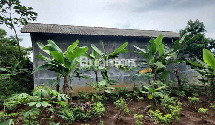 MURAH !!! RUMAH WALET PARUNG KUDA SUKABUMI JAWA BARAT 1