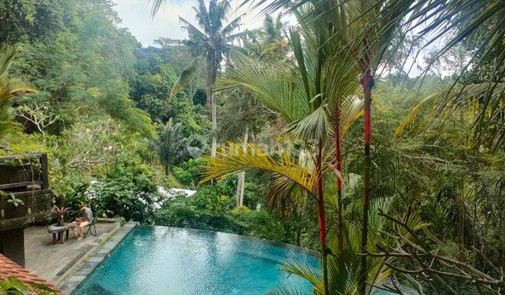 Dijual Cepat Villa Di Ubud Bali Bagus Siap Pakai Rapih Boyefalsut  1