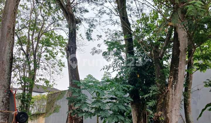 For Sale 606m2 North-Facing Plot in Taman Tirta Golf BSD City. Adtyaefss For Sale 606m2 North-Facing Plot in Taman Tirta Golf BSD City. Adtyaefss