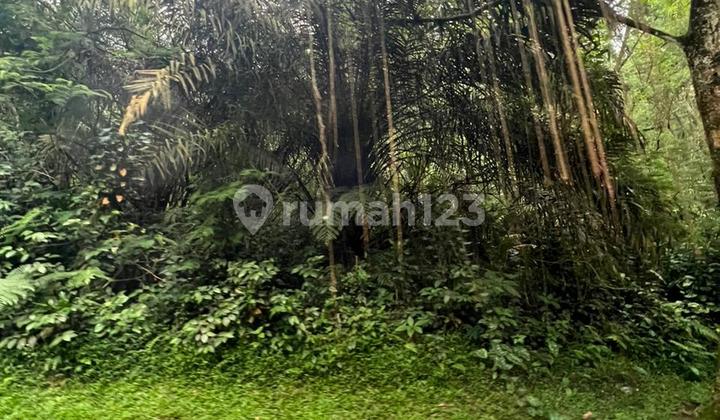 Mega. Indah. Kav. Siap Bangun. Satu Satunya. Dihuk View. Nya Dapat Mega. Indah. Kav. Siap Bangun. Satu Satunya. Dihuk View. Nya Dapat