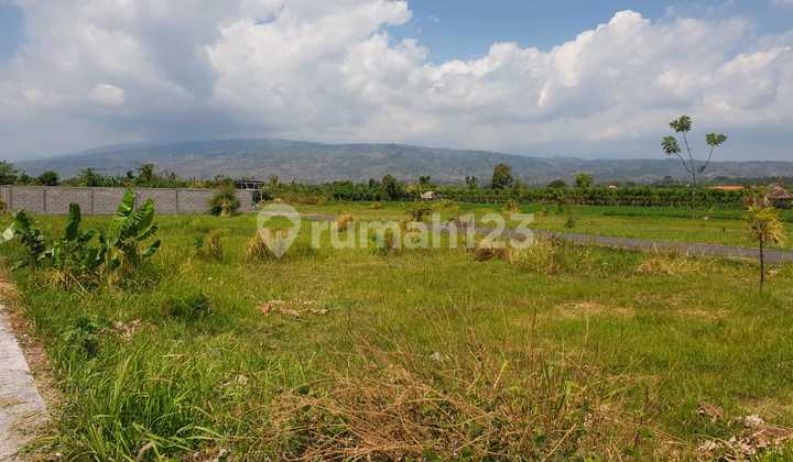 Dijual Kavling Tangguwisia Kec Seririt Buleleng Singaraja Bali