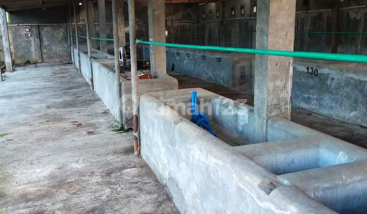 Dijual Gudang Siap Pakai Lokasi Strategis Nol Jalan Raya Jombang 10