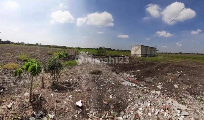 Dijual Tanah Murahhh Pabean Sedati Sidoarjo 1