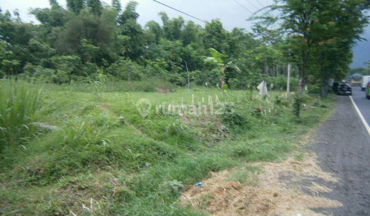 Dijual Lokasi Tanah Raya Probolinggo Lumajang. 1