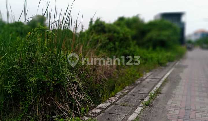 Di Jual Tambak 1,6 Ha.lokasi Tambak Medokan Di Jual Tambak 1,6 Ha.lokasi Tambak Medokan