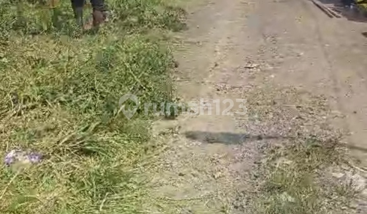 Dijual tanah  Medayu Utara Murahhh SHM 