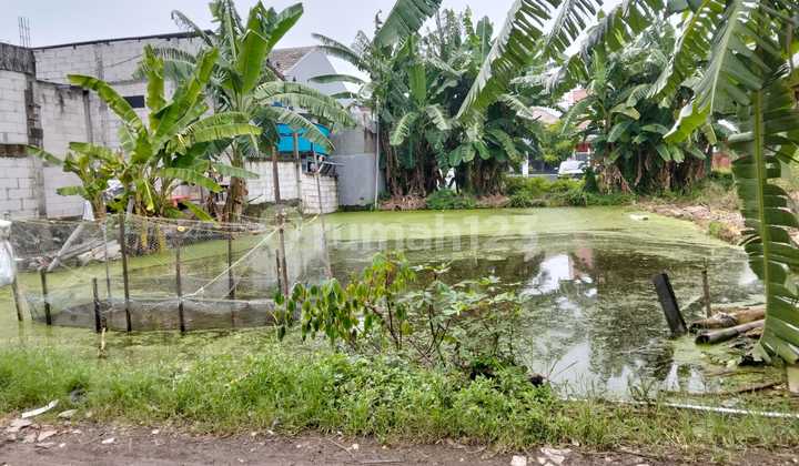 Land for sale in South Wonorejo Land for sale in South Wonorejo