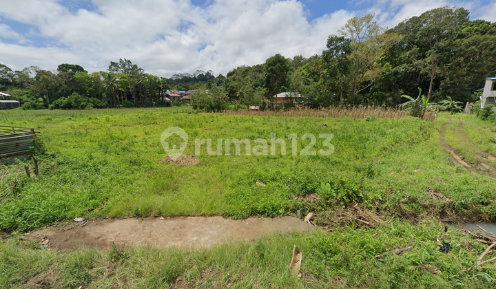 SHM Land Strategically Located in Tataran Patar, South Tondano, Minahasa