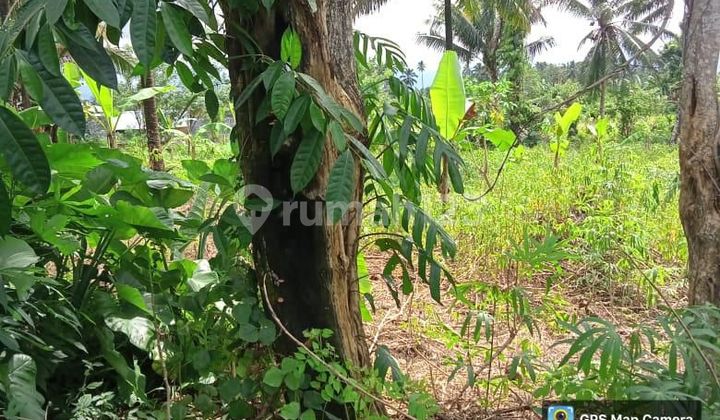 Tanah SHM Lokasi Strategis di Paniki Bawah, Mapanget, Manado Tanah SHM Lokasi Strategis di Paniki Bawah, Mapanget, Manado