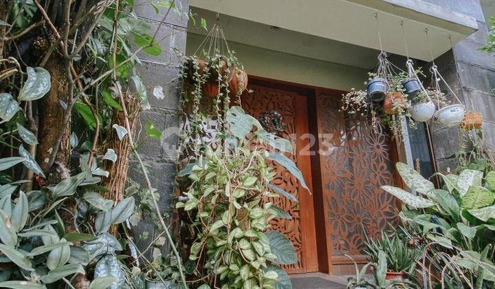 Rumah Hook Tropical Style di Kebayoran Residence Bintaro Jaya 