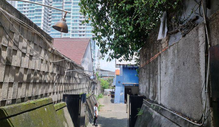 Rumah Tua Kemang Dekat Kemang Raya Dan Tenang  2