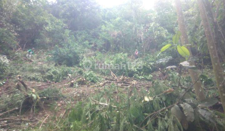 Dijual Tanah Cocok utk perkebunan, Ciamis Jawa Barat 2