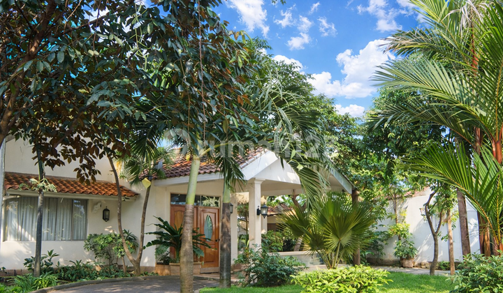 A Charming House with a Spacious Yard & Tropical Ambiance in Jagakarsa