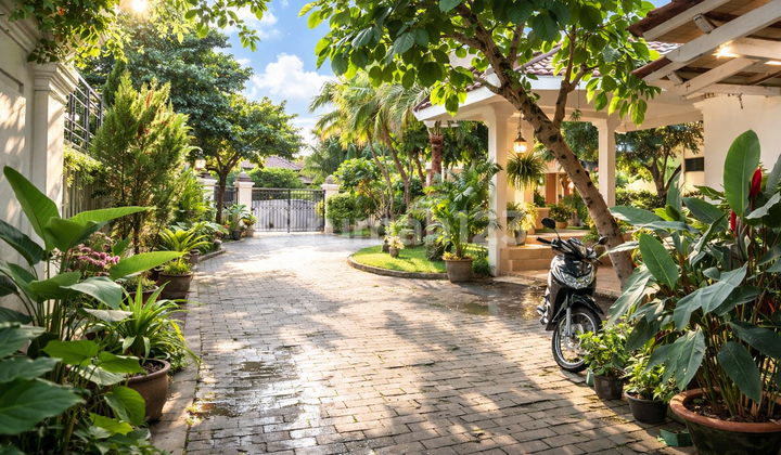 Rumah Asri dengan Halaman Luas & Nuansa Tropis di Jagakarsa 2