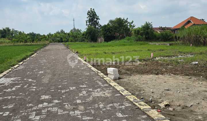 Cheap Yard Land, Balongbendo, Krian Sidoarjo