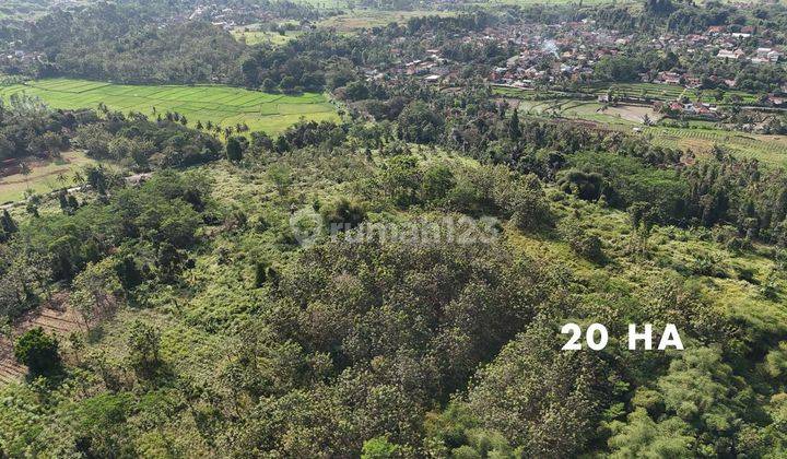 Dijual Tanah SHM 1 Ha Sampai 27 Ha Harga 250 Ribu m2 nego Cianjur Jawa Barat 2