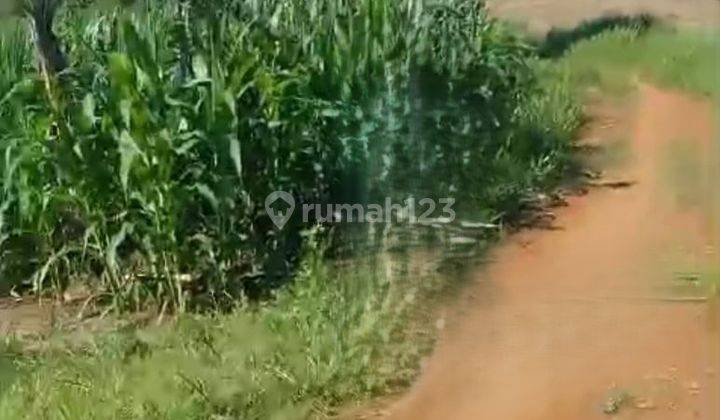 DIJUAL Lahan Subur Strategis Dekat Jl. Nasional  Sukabumi 2