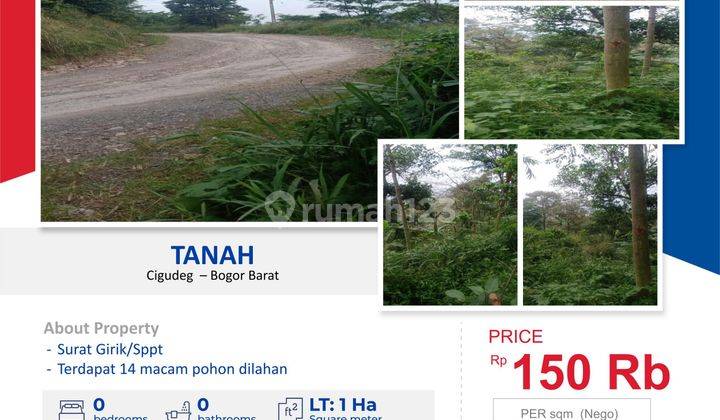 DIJUAL Tanah 1 Ha di Lebak Wangi Cigudeg Bogor 1