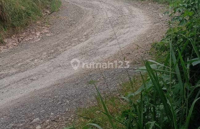 DIJUAL Tanah 1 Ha di Lebak Wangi Cigudeg Bogor 2