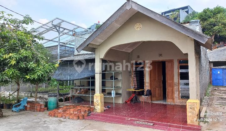 For Sale Spacious Jangli House Near Exit and Undip Campus Tembalang Jatingaleh 2