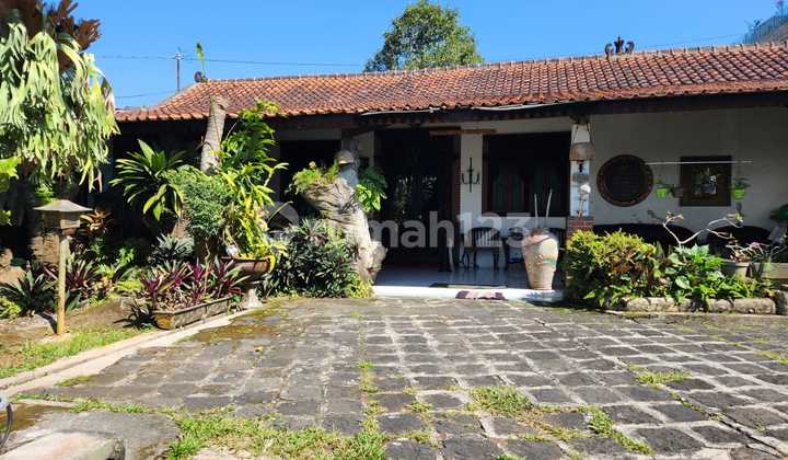 For Sale Spacious House in Ks Tubun Ungaran Strategic Location Near Main Road Suitable for Boarding House and Business Space 1
