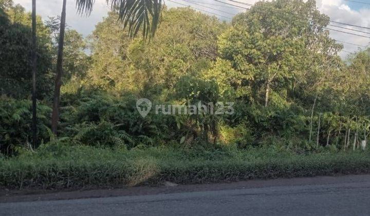 Jual Cepat Tanah di Sampit, Kota Waringin Timur, Kalimantan Tengah 2