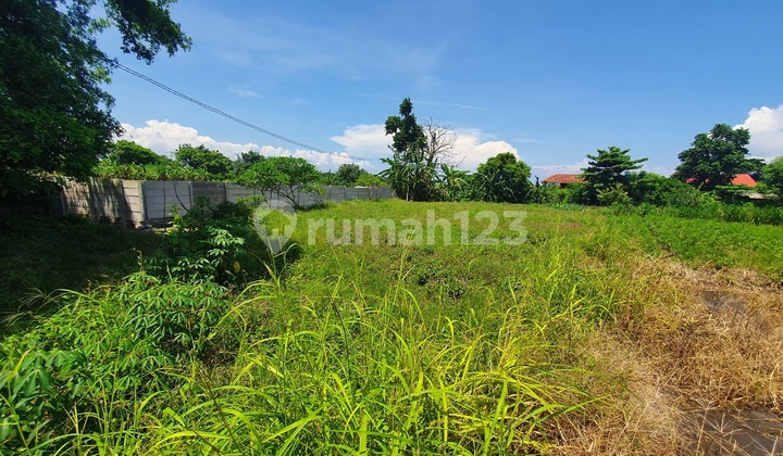 Tanah Pantai Sanur Kaja Denpasar Selatan Bali 3