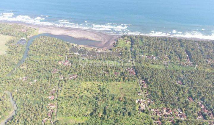 Land DL View Sawah Pakutatan Negara Jembrana Bali 2