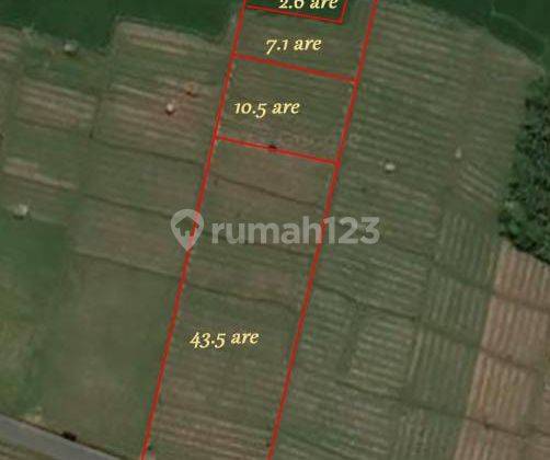 Tanah DL View Sawah Pakutatan Negara Jembrana Bali 5