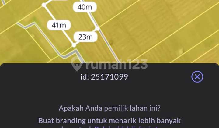 Tanah DL View Sawah Pakutatan Negara Jembrana Bali 10