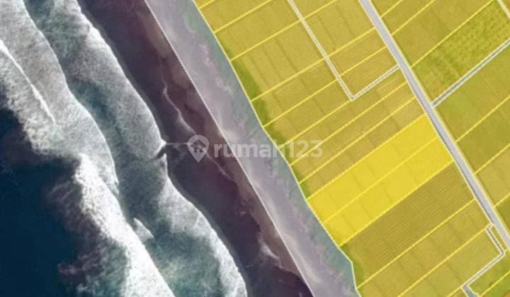 Tanah DL View Sawah Pakutatan Negara Jembrana Bali 11