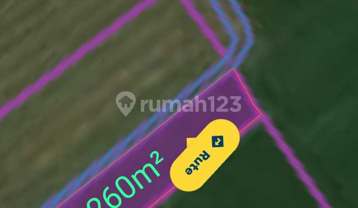 Tanah DL View Sawah Pakutatan Negara Jembrana Bali 16