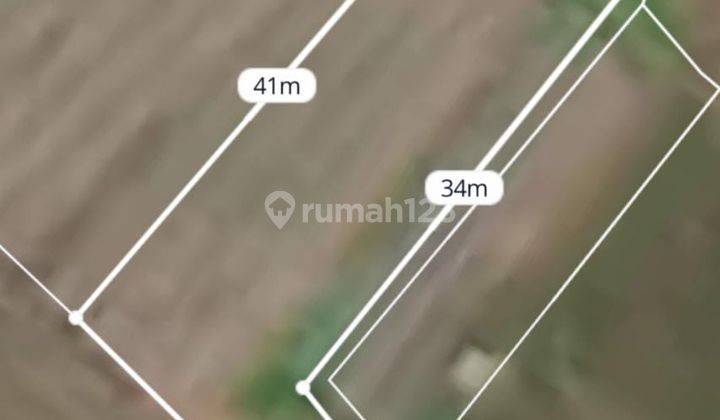 Tanah DL View Sawah Pakutatan Negara Jembrana Bali 18
