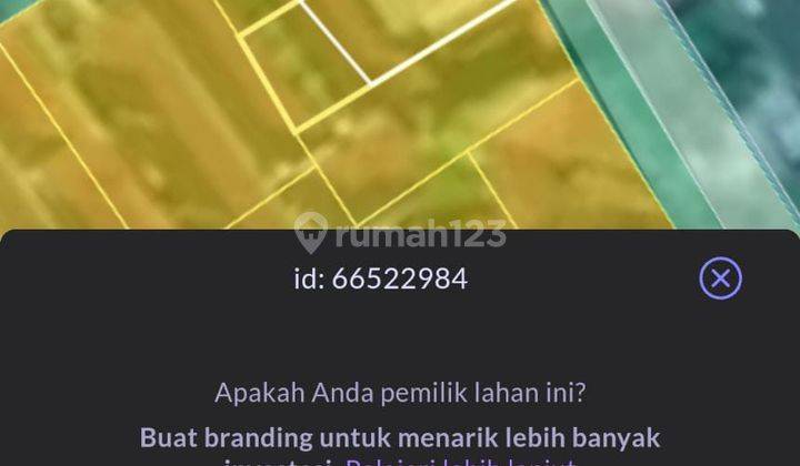 Tanah Mertanandi Seminyak Kuta Badung Bali 6