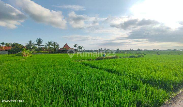 Disewakan Tanah Pantai Nyanyi Kediri Tabanan Bali 2