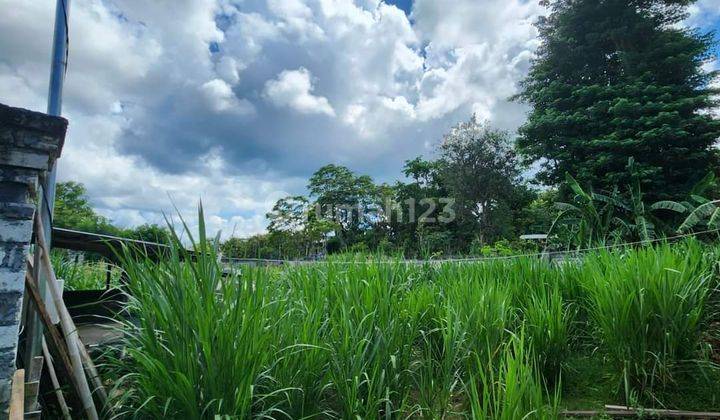 Tanah Pantai Bingin Pecatu Kuta Selatan Badung Bali 3