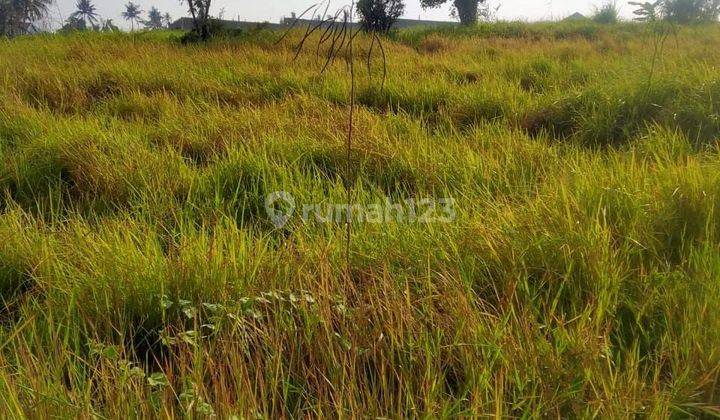 Tanah Pantai Seseh Munggu Pererenan Mengwi Canggu Badung Bali 2