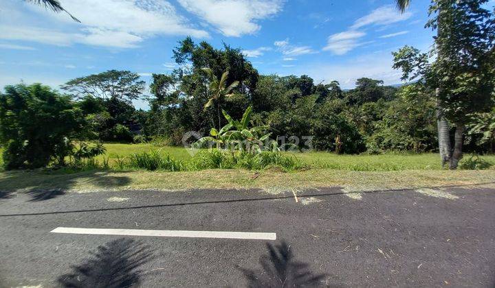 Cheap Land Antap Beach Selemadeg Tabanan Bali 1