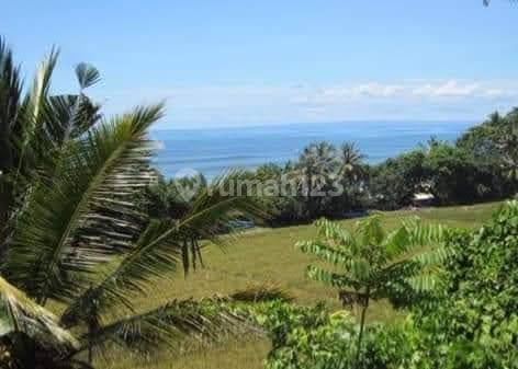 Tanah Los Pantai Balian Lalang Linggah Tabanan Bali 2