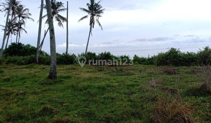 Land Los Tebing Los Bonian Beach Antap Selemadeg Tabanan Bali 2