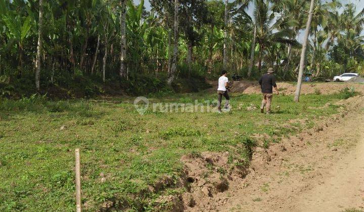 Good Cheap Land Fruit Kaja Payanagan Ubud Gianyar Bali 2