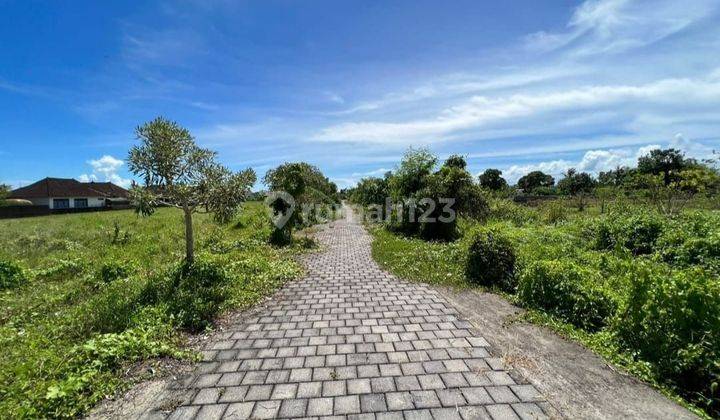 Tanah Kedungu Beach Belalang Kediri Tabanan Bali 2